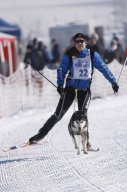 Lenk 2013